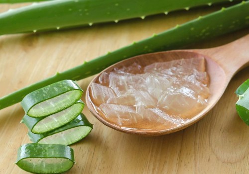 Unlocking the Healing Powers of Aloe Vera