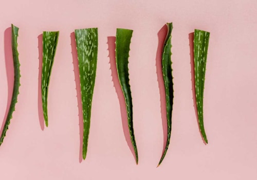 The Truth About Eating Aloe Vera Daily